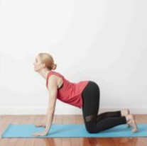 Cat-Cow Pose