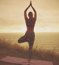Vrksasana Pose